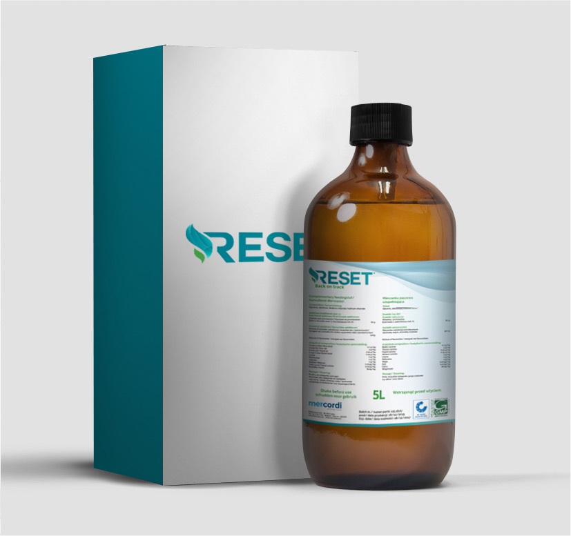 KOS Design - Reset